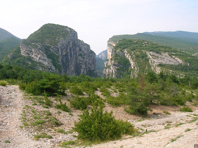 img00060.jpg