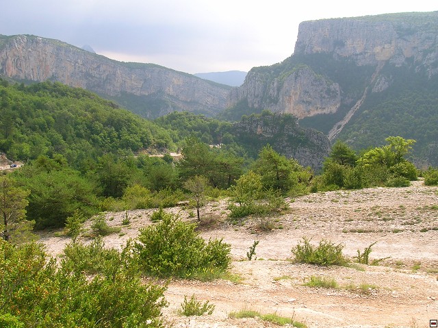 img00061.jpg