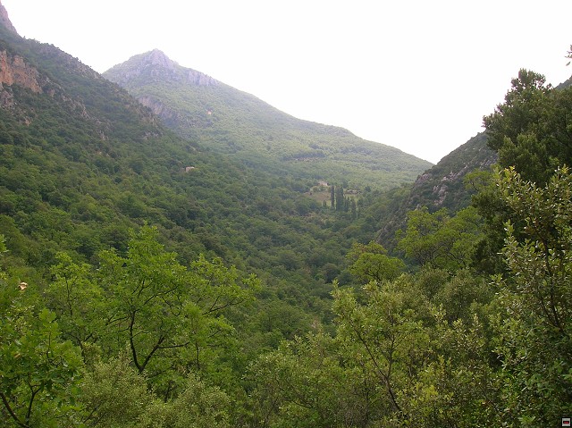 img00063.jpg
