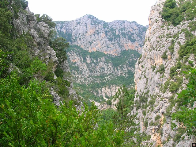 img00064.jpg