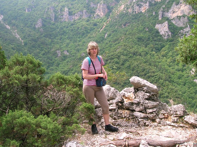 img00065.jpg