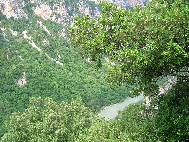 img00066.jpg