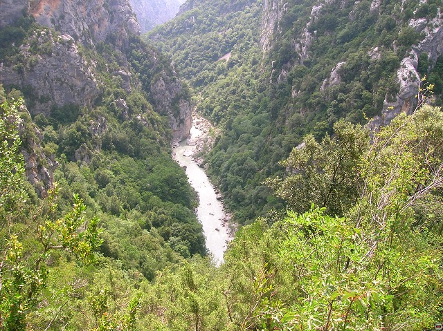 img00068.jpg
