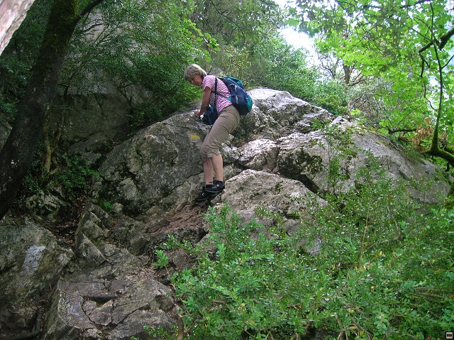 img00069.jpg