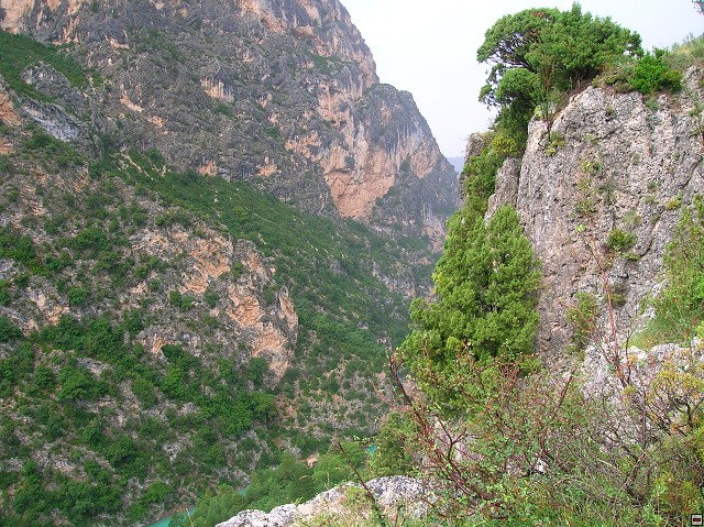 img00074.jpg