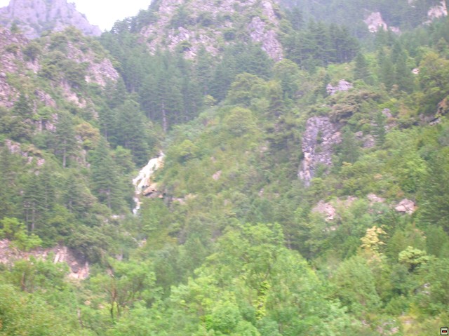 img00077.jpg