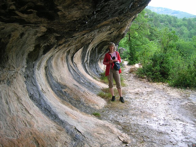 img00080.jpg