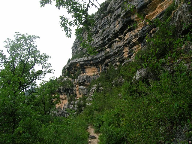 img00081.jpg