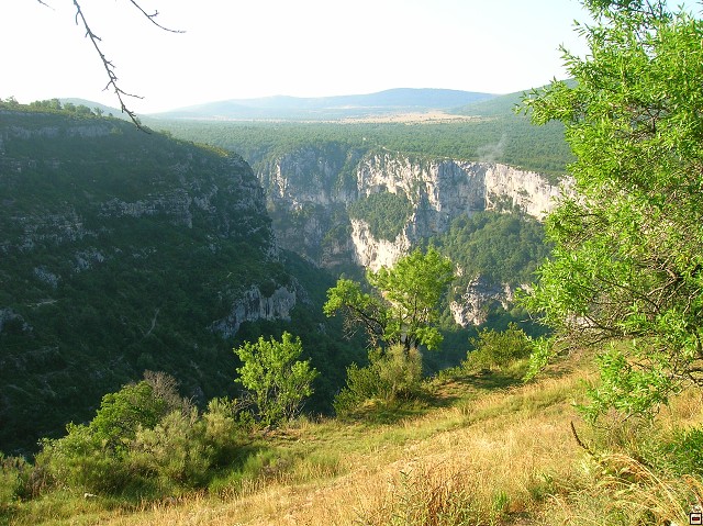 img00084.jpg