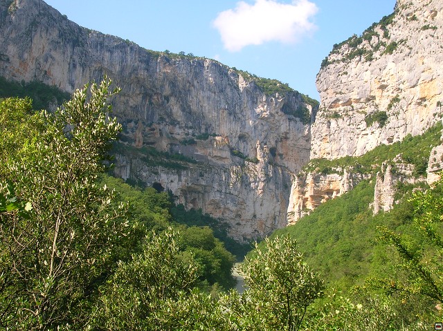 img00095.jpg