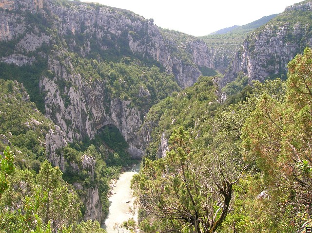 img00106.jpg
