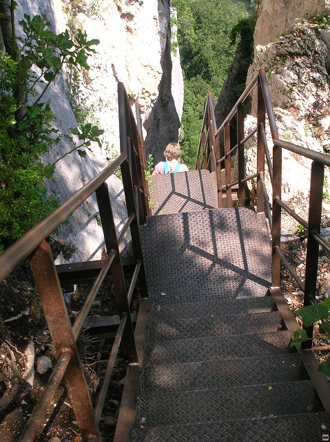 img00113.jpg