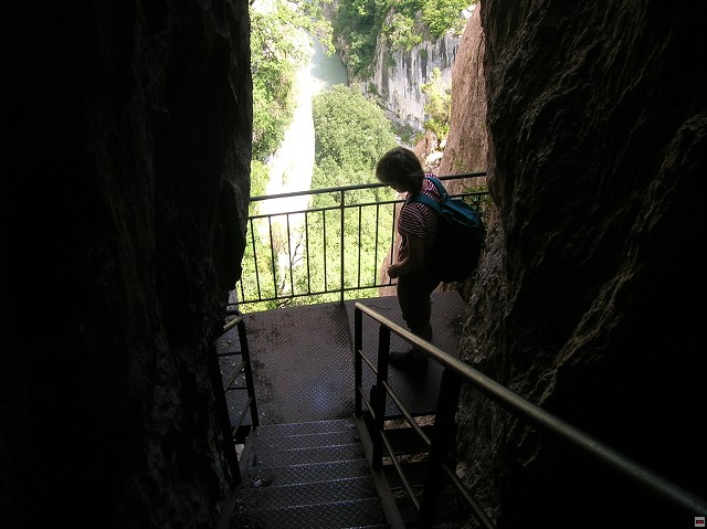 img00115.jpg