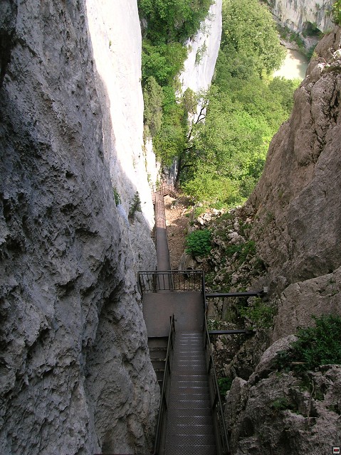 img00116.jpg