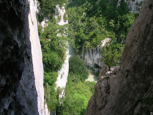 img00117.jpg