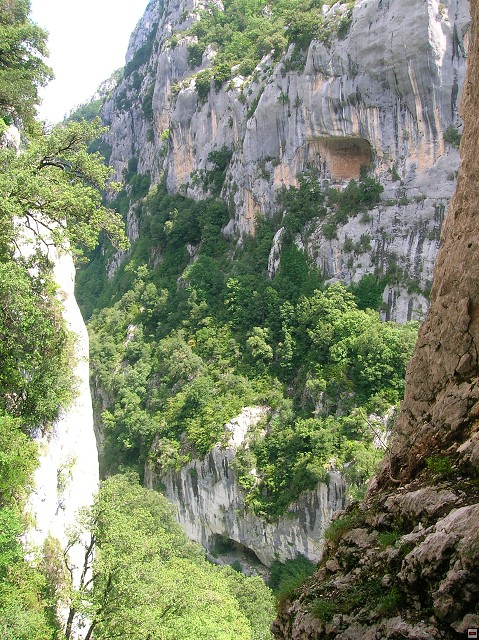 img00119.jpg