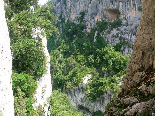 img00120.jpg