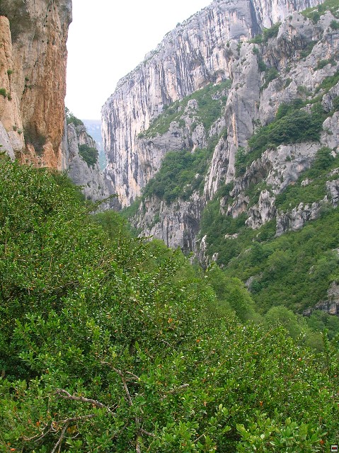 img00122.jpg