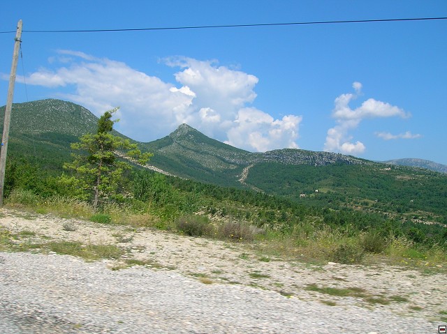 img00124.jpg