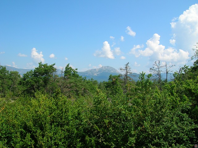 img00126.jpg