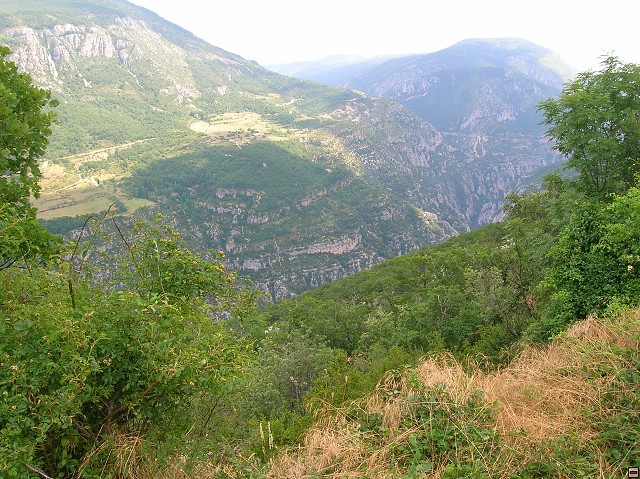 img00153.jpg