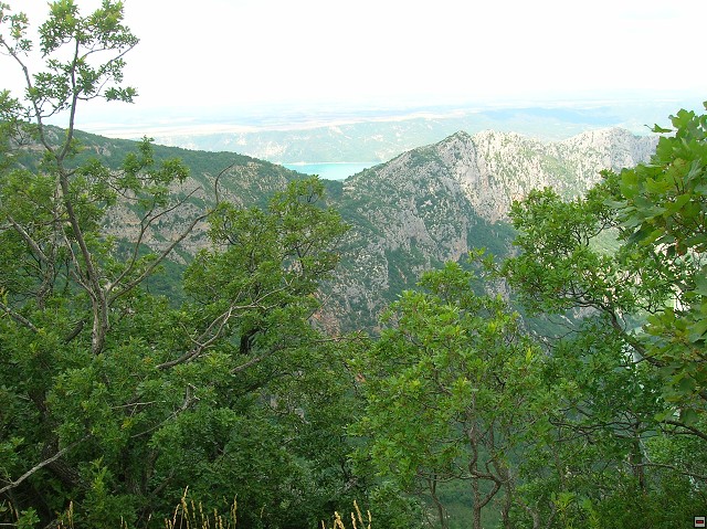 img00154.jpg