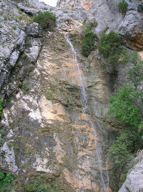 img00157.jpg