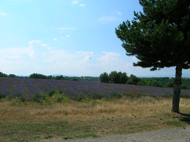 img00165.jpg