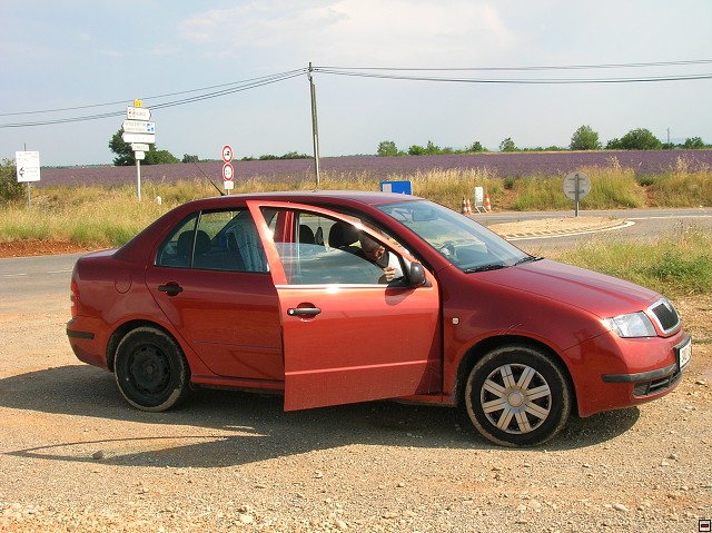 img00169.jpg