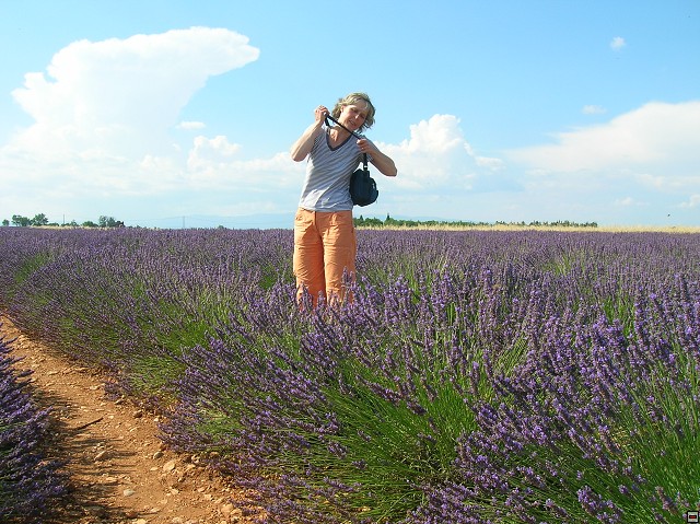 img00170.jpg