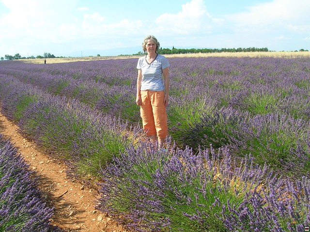 img00171.jpg