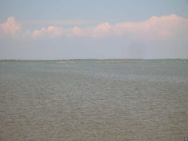 img00175.jpg