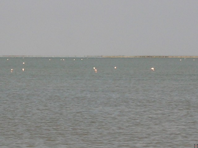 img00176.jpg
