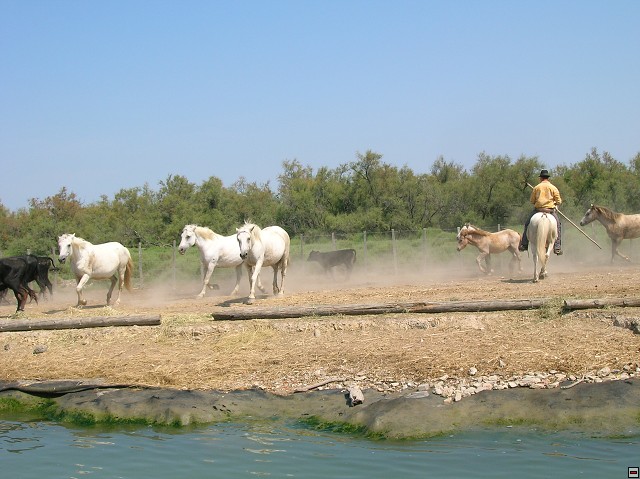 img00183.jpg