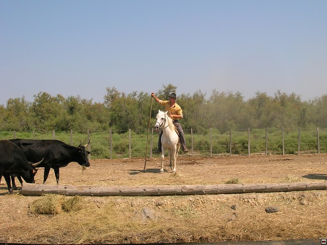img00186.jpg