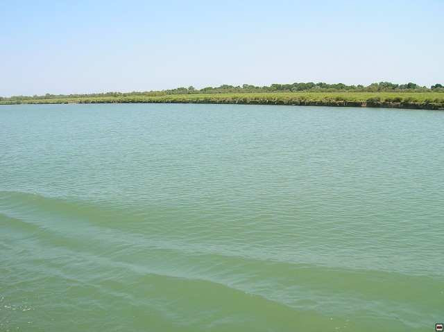 img00191.jpg