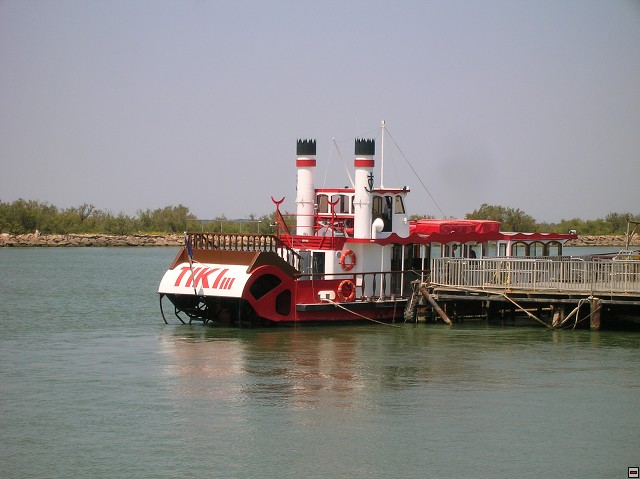 img00197.jpg