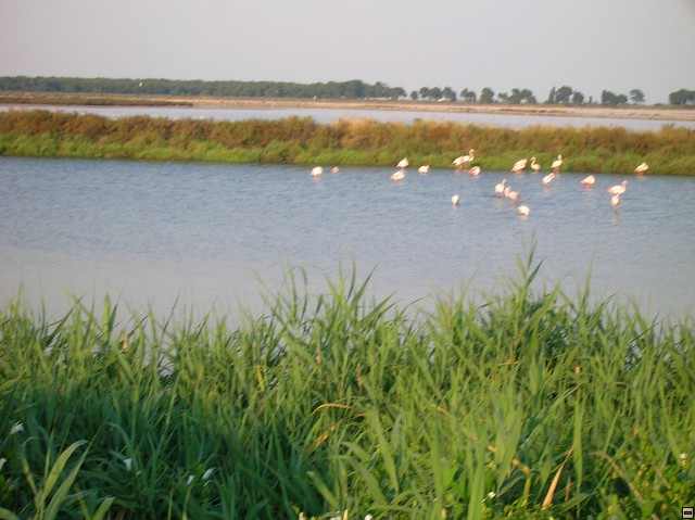 img00202.jpg