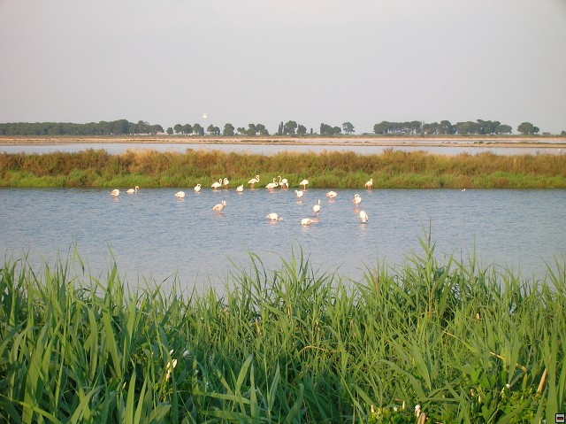 img00203.jpg