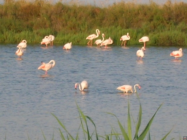img00204.jpg