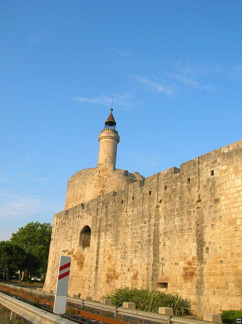 img00206.jpg