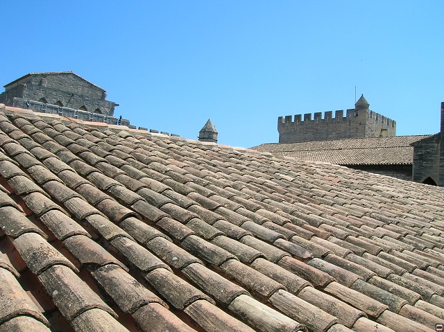img00240.jpg