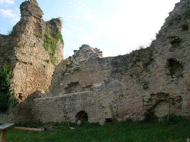img00264.jpg