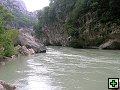 thn00098.jpg