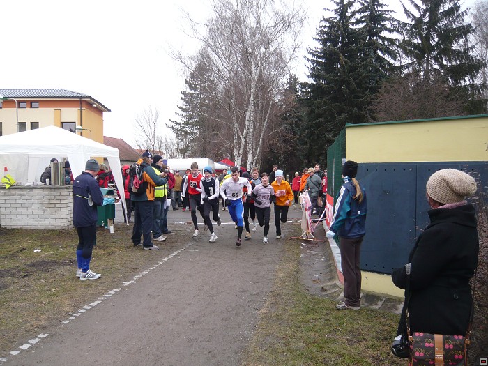 img00094.jpg