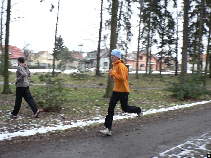 img00097.jpg