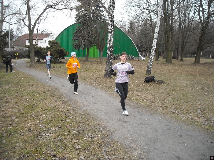 img00099.jpg