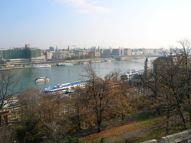 img00029.jpg