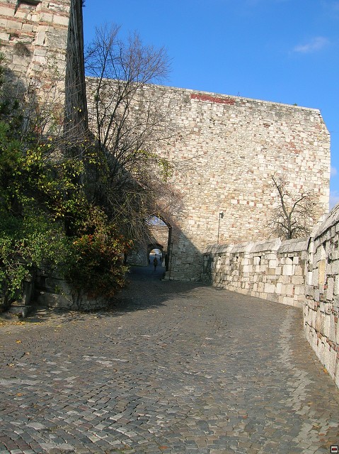 img00031.jpg