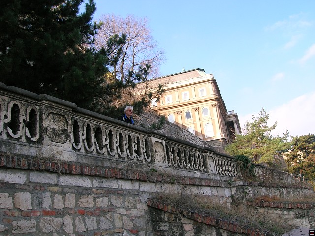 img00032.jpg